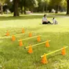 Equipo de Entrenamiento de Agility para Perros Cono Barril Obstáculo Vallas Reunión Deportiva Salto Ejercicio Físico Equipo Marcador Palo Border Collie