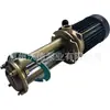 Whitward Wl-10-150 Bomba Vertical 0.75Kw Cuerpo de Bomba de Cobre Máquina Herramienta Bomba Sumergible Bomba de Aceite Caliente Bomba de Agua Especial