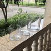 Mecanismo de vidrio cilíndrico transparente, pequeño tubo recto, hidropónico, tortuga, tarro, vela de vidrio, artículos de vidrio, jarrón, venta al por mayor