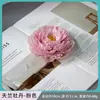 Flor de Peônia de Mil Camadas Flor Artificial Peônia Ocidental Retrô Paisagismo de Jardim Engenharia de Paisagismo Guirlanda de Estilização Pacote de Material Arranjo de Flores