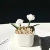 Enfeites de Vidro Zibo, Plantas Suculentas em Vasos, Plantas Verdes de Vidro, Presentes de Flores de Dezembro, Artesanato para Decoração de Escritório