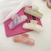 Horquilla de fantasía con ácido acético para mujer, estilo coreano de 2024, con forma de disco para la nuca, pinza para el pelo con temperamento de alta sensibilidad y pinza de tiburón que combina con todo.