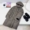 Casual, Confortável, Moderno, Bolso com Insígnia, Manga Longa, Reta, Emagrecedor, Gola Alta, Com Capuz, Jaqueta Longa de Pão, Jaqueta de Penas
