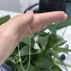 Nuevo Collar de Calabaza Cepillado Plateado Estilo Chino, Lujo Ligero, Sensación de Alta Gama, Cadena de Cuello Elegante, Cadena para Clavícula Estilo Minimalista Fresco de Nicho