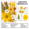 Kit de materiales DIY de especímenes de flores secas para regalos creativos hechos a mano para novias y amigas, decoraciones de escritorio