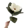 Directo de fábrica simulación magnolia película única magnolia boda hogar diseño suave flor china venta al por mayor