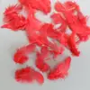 Patrimônio Cultural Imaterial Pena de Martim-Pescador Pasta do Tamanho de uma Ervilha Pena de Martim-Pescador Imitação Poros da Pena de Martim-Pescador Ponta da Pena do Pescoço do Pavão Verde DIY Material