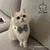 Bufanda para Gato, Pajarita, Collar para Mascota, Babero, Toalla para Saliva, Bufanda Tejida, Bufanda, Perro Lindo para Foto