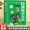 Receitas Secretas Autênticas de Médicos Famosos Nível Nacional, Teoria da Medicina Tradicional Chinesa, Cuidados de Saúde com Medicina Tradicional Chinesa, Terapia Dietética, Prevenção e Tratamento, Prática Clínica