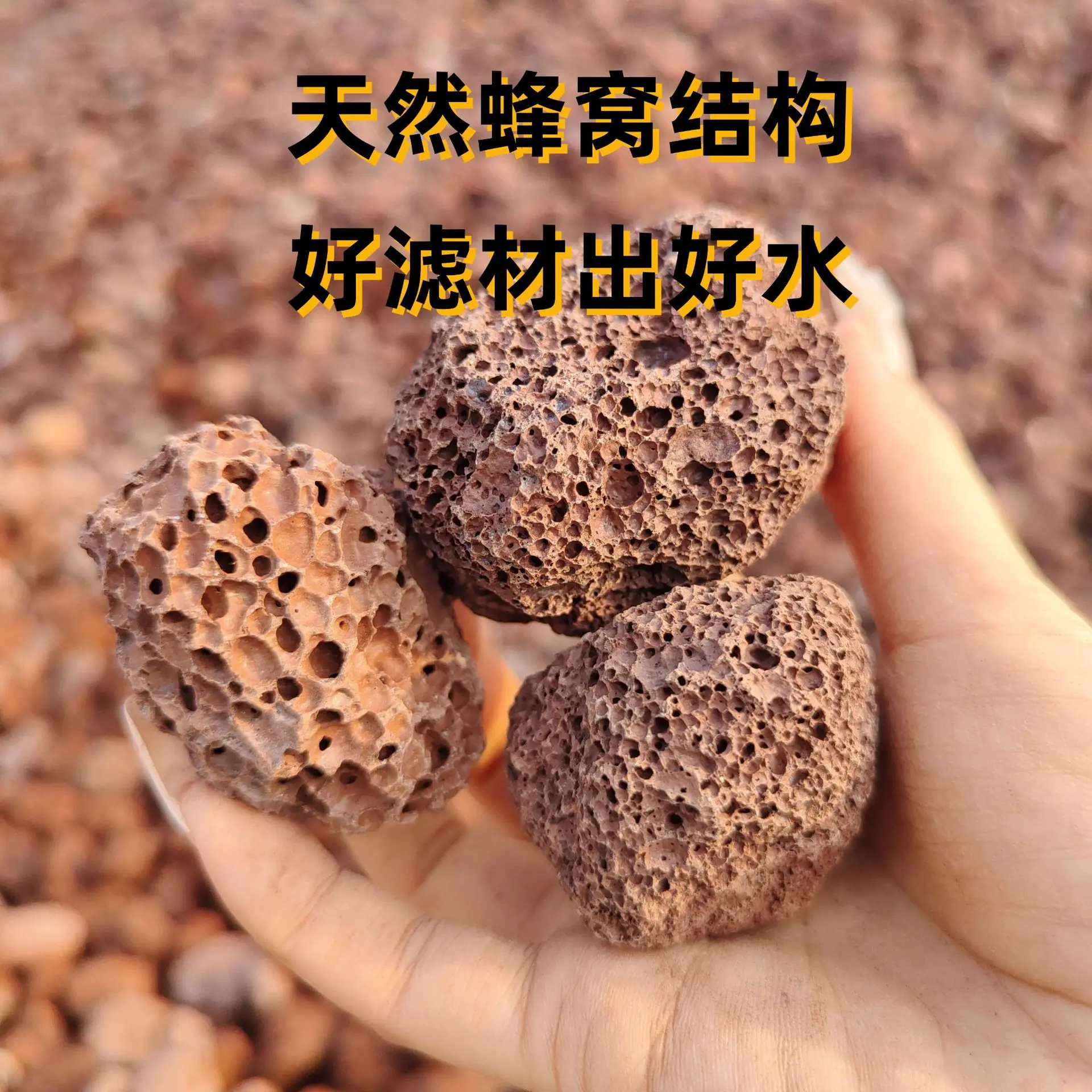 微信图片_20250218084048_副本