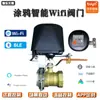 Graffiti Wifi Válvula Elétrica Telefone Celular Interruptor Sem Fio Controle Remoto Manipulador de Válvula de Água e Gás Válvula de Controle Remoto