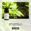 Fabricante de Fuente de Aromaterapia Aceite Esencial de Aromaterapia Soluble en Agua 10 ml Fragancia Vegetal L Difusor Ambientador Máquina de Aromaterapia Aceite Esencial