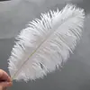 Diy branco pena artesanal tamanhos pequeno e grande vários estilos coleção palco cerimônia de casamento ornamentos acessórios decoração de artesanato materiais de artesanato