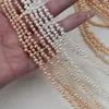 Perlas de Agua Dulce Naturales de unos 4 mm, Cuentas de Arroz de Tres-Siete Agujeros, Productos Semi-Terminados de Collar de Perlas, Cuentas Sueltas para DIY, Accesorios de Joyería para DIY