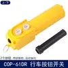 Interruptor de Control de Conducción a Prueba de Lluvia Cob-61 62 63 64Abh Botón de Elevación Manija Operador de Polipasto Eléctrico