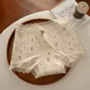 Calcinhas Femininas Estampadas de Cintura Média Plus Size, 100% Algodão 10A Antibacterianas com Entrepernas Estendidas, Renda, Boxer de Algodão Puro