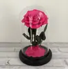 Presente mais vendido para o Dia dos Namorados e Dia das Mães: caixa de presente com cúpula de vidro com flores eternas, design do Pequeno Príncipe, atacado