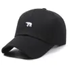 Nueva Gorra de Béisbol Bordada de Oso Polar Hace que la Cara Parezca Más Pequeña Sombrero para el Sol Bordado Simple Japonés Gorra Plana Suministro Transfronterizo