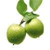 Calcomanías de Manzana Verde Puertas y Ventanas de Gabinetes de Cocina Calcomanías Decorativas Autoadhesivas Restaurante Impermeable Calcomanías para Refrigerador Calcomanías Autoadhesivas Calcomanías de Pared