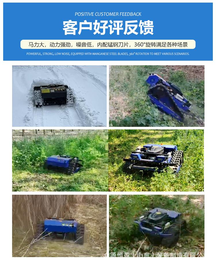 蓝色割草机详情_05.jpg