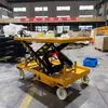 Plataforma Hidráulica Estacionaria de Elevación 300/4000 kg Elevador Eléctrico de Elevación y Descarga Personalización No Estándar