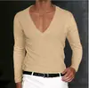 Serie de Ropa de Verano para Hombre Europea y Americana Transfronteriza 2024 AliExpress Amazon Estación Independiente Nueva Camiseta Lisa de Cuello en V