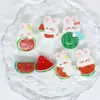 Desenho Animado Fruta Brilhante Animal Gato Coelho Porco Cachorrinho Grampo Elástico Pegador DIY Cola de Creme Acessórios de Resina