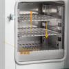 Horno de Secado por Ráfaga Pequeño Calefacción Eléctrica Temperatura Constante Horno de Horneado Alimentos Experimental Material Medicinal Horno de Secado Vertical Horizontal