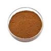 Extrato de Garcinia Keringii, Pó de Garcinia Keringii Solúvel em Água, Em Estoque, Disponível para Inspeção, Fábrica de Origem do Extrato SC, Atacado em Estoque