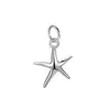 Colgante de Estrella de Mar de Plata de Ley S925 Colgante Collar DIY de Gama Alta Pulsera Hecha a Mano Collar Cuerda Trenzada Chapado en Oro de 18 Quilates Accesorios