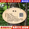 Letreros Acrílicos de Flores y Plantas, Identificadores, Señales Informativas de Vegetación, Etiquetas para Árboles, Etiquetas Colgantes, Etiquetas Colgantes para Plantas, Etiquetas para Árboles Frutales