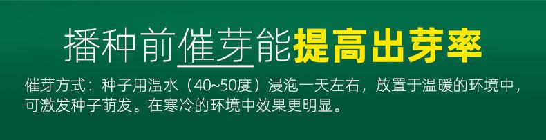 详情图片_06.jpg