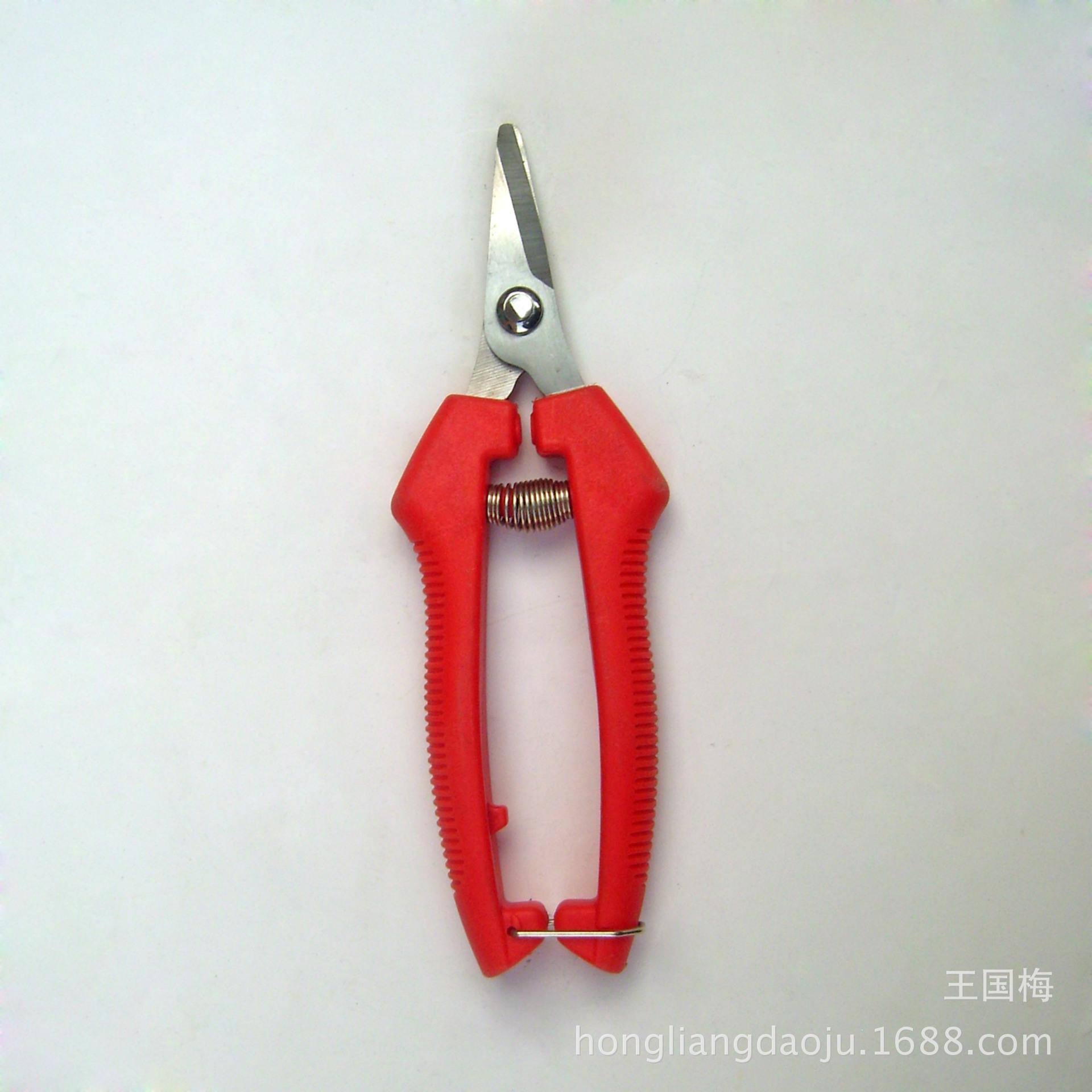 DSCI0046
