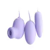 Huevo Vibrador Lady Misteriosa Vibrador de Succión Control Remoto Interactivo APP Juguete Femenino Productos Sexuales para Adultos Serie Completa