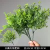 Plantas Verdes, Hierba de Junco, Hierba Bigote de Dragón, Fondo de Boda, Paisajismo de Ventana Floral, Flores Decorativas para Boda en Bosque Blanco y Verde