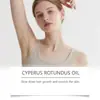 Aceite para el Cuidado de la Depilación Oceaura Ingredientes Herbales Limpieza Suave y Suavizante Piel del Cuerpo Aceite para el Cuidado de la Depilación