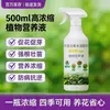 Solução Nutritiva Vegetal Universal de Alta Concentração, Fertilizante Universal para Caule e Folhas, Spray Promotor e Regulador de Crescimento, Fornecimento Direto do Fabricante, Atacado e Entrega