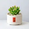 Conjunto fofo de plantas de interior para mesa para jardim de infância, fácil de cultivar e cuidar, pequenas plantas em vasos