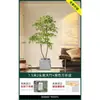 Planta en Maceta de Piso Nandina Domestica, Planta Verde Artificial Grande para Interiores, Decoración de Lujo Ligero para Sala de Estar, Árbol Artificial