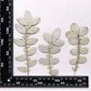 Pacote de Material para Relevo com Flores Secas DIY Crianças Artesanato Cola Flores Naturais Folhas Etiqueta de Planta Decoração com Material de Relevo