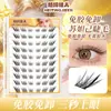 Novos cílios postiços estilo raposa Su Daji de grande capacidade, estilo chinês, sem cola, para iniciantes, em tufos individuais, curvados, macios, ultranaturais e transparentes
