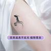Tatuaje de hierbas de pareja de Piscis para danza, resistente al agua, para mujer, duradero, para cuello, brazo, clavícula, sensación avanzada, tatuaje de simulación semipermanente.