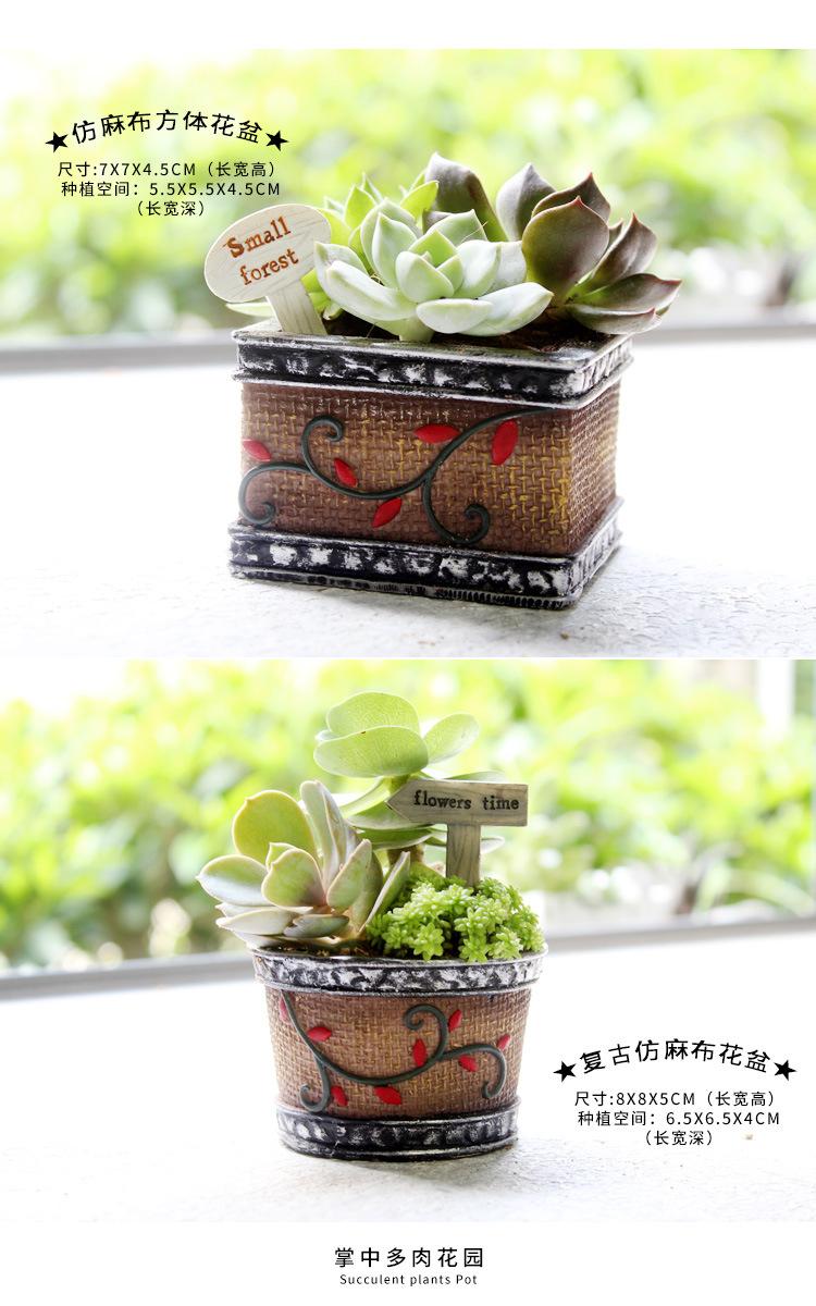多肉花盆小号2_03