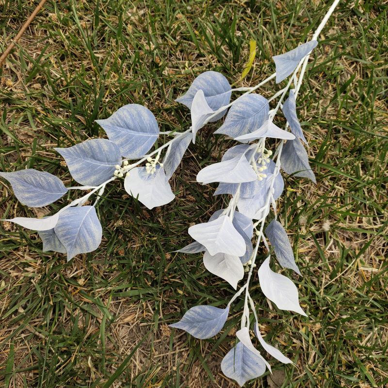 菩提叶2号雾兰色