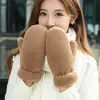Guantes de Invierno al por Mayor Felpa Engrosada Cálidos Mitones de Felpa para Mujer Lindos Simples Imitación de Piel de Conejo Guantes de Estudiante Transfronterizos