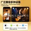Mezclador de tarjeta de sonido IRIN en inglés con efectos de sonido, ajuste de iluminación, canto multifunción, grabación, reducción de ruido, tarjeta de sonido para transmisión en vivo