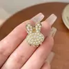 Accesorios para el Cabello Corto durante la Fase Incómoda: Pinzas para el Cabello, Pinzas de Garra Pequeñas para Peinados Semi-Recogidos, Pinzas para Cabello Corto de Permanente y Adornos para el Cabello