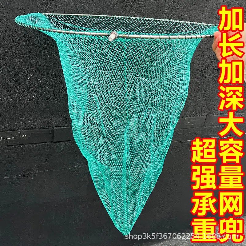 网深1.jpg