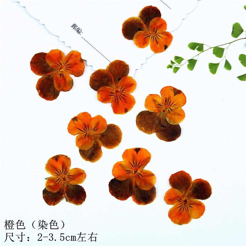 IMG_6627.JPG