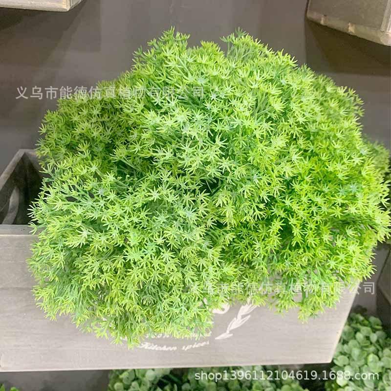 未标题-323